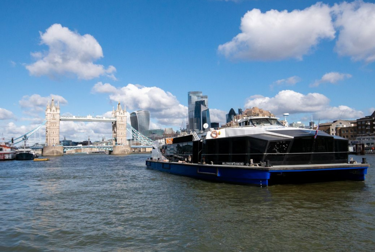 Thames Cruise Boat